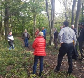 Waldspaziergang Klimaallianz Forchheim
