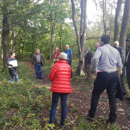 Waldspaziergang Klimaallianz Forchheim